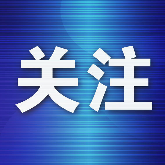 达人配资 令人不齿！游客抓海鸥事件接连发生